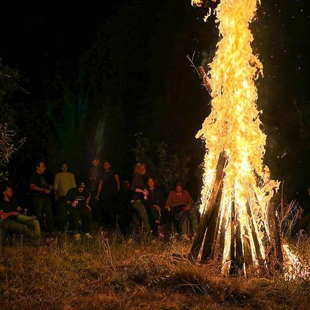 Conacul Bunicilor Otel Novaci Dış mekan fotoğraf